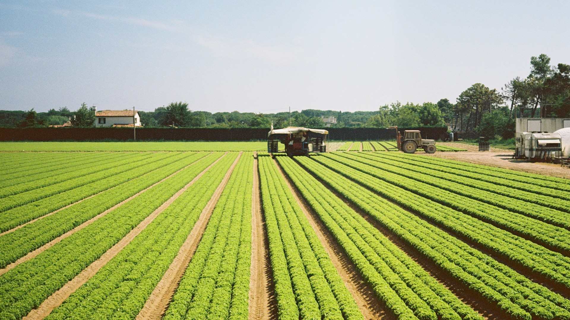 Supporting Local Agriculture