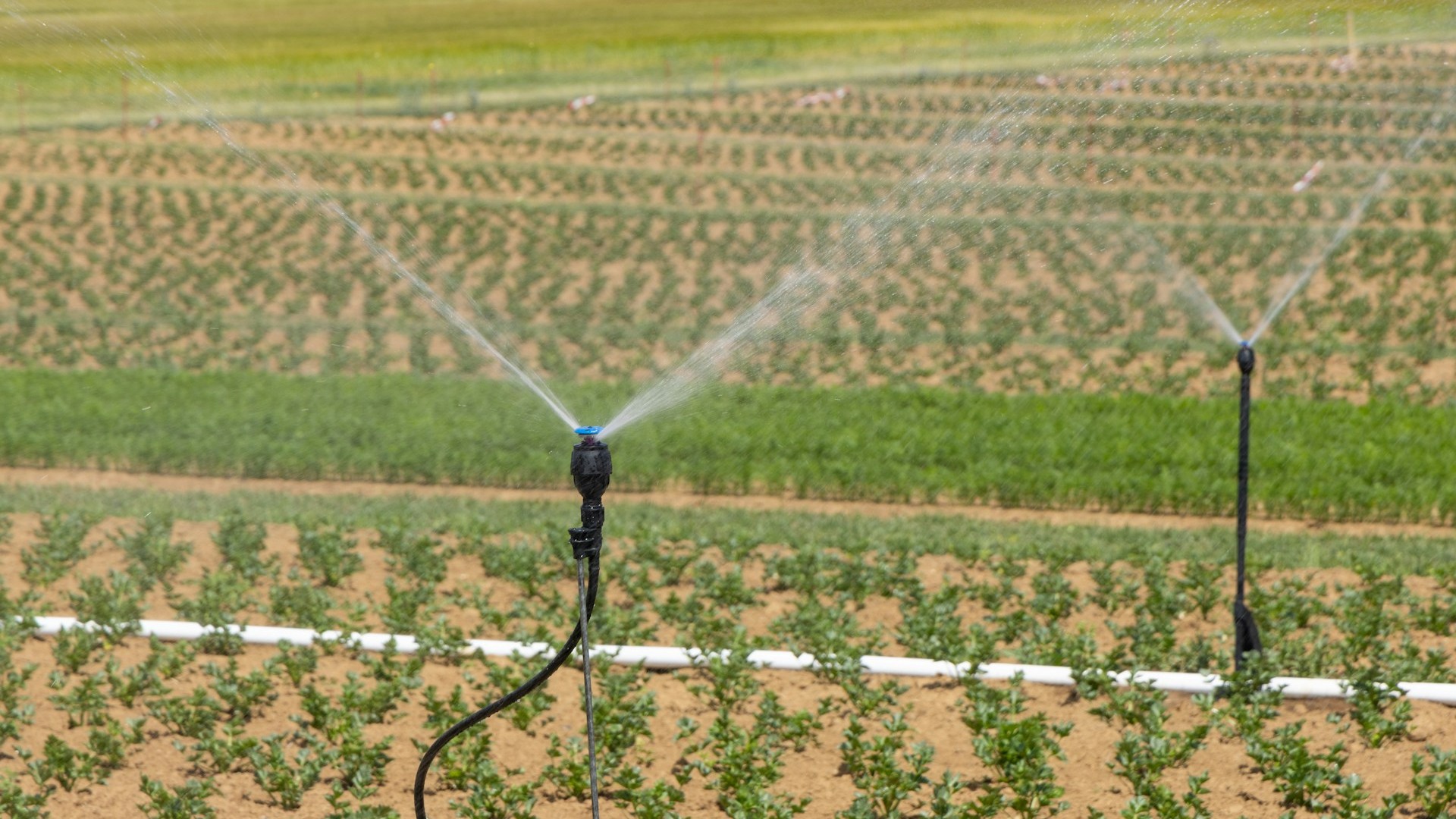 New Irrigation Projects Announced