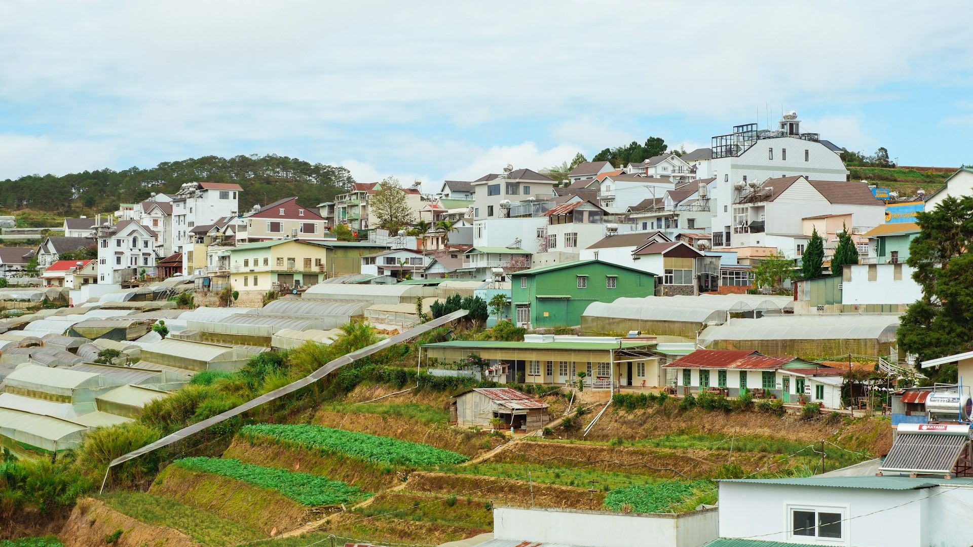 Community Agricultural Development